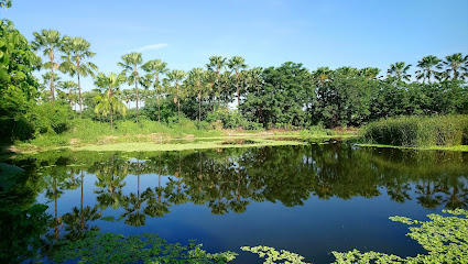 麟洛濕地公園