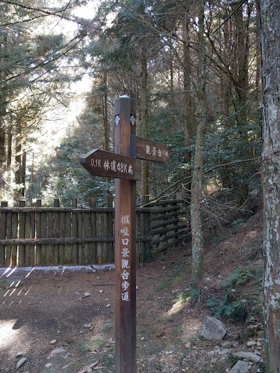 埡口觀景台