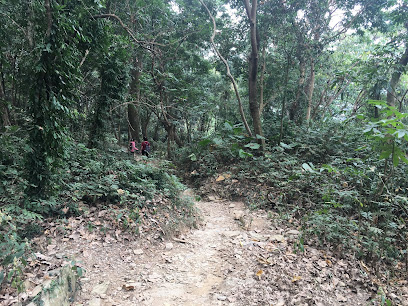 笠頂山登山步道