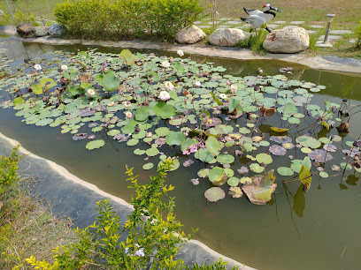 馬興藥草植物園區