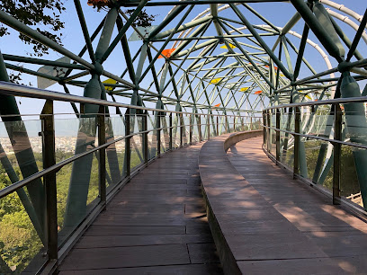 鰲峰山市鎮公園陽光草坪