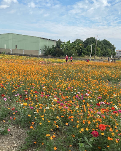 玉山路花海