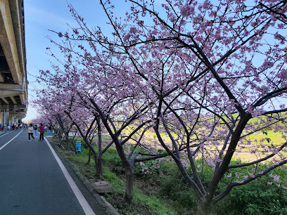 頭前溪河濱公園