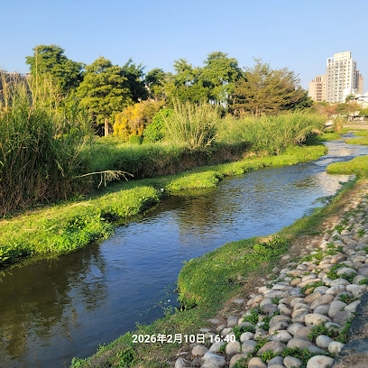 鳥竹圍公園
