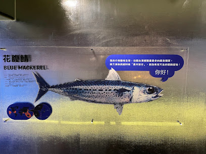 大鯖魚夢工廠
