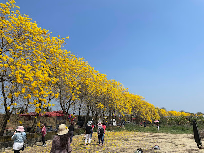 陳井寮堤防