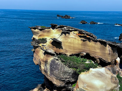 萬里駱駝峰
