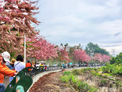 二水花旗木鐵道