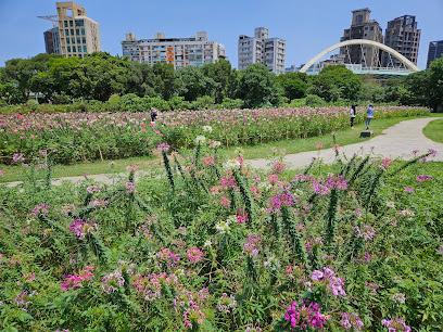 古亭河濱公園 花海區