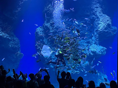 台中海洋館 Taichung Aquarium