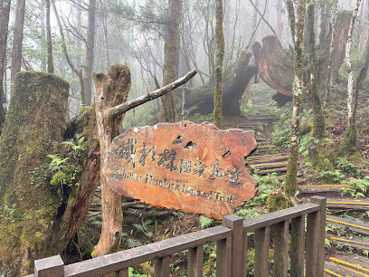 鐵杉林國家步道