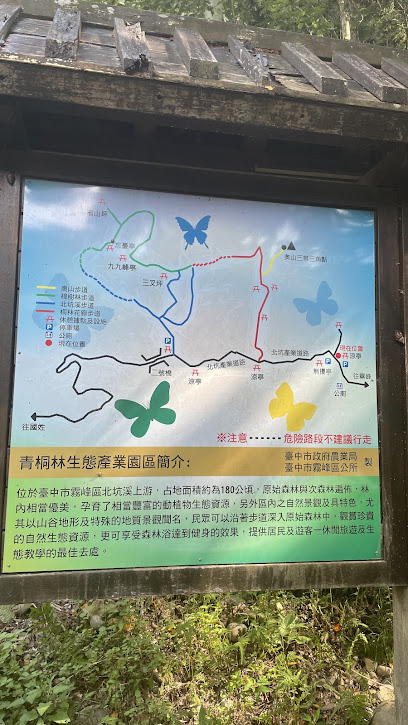 青桐林生態園區
