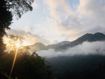 八仙山國家森林遊樂區
