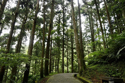 東眼山國家森林遊樂區自導式步道