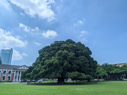 國立成功大學榕園