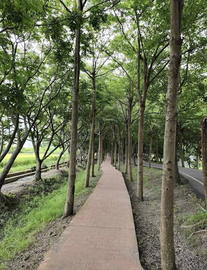 潭雅神綠園道