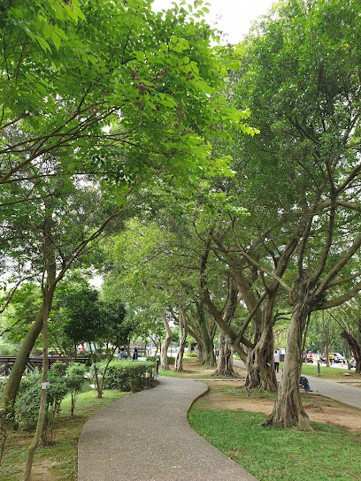 桃園八德埤塘自然生態公園