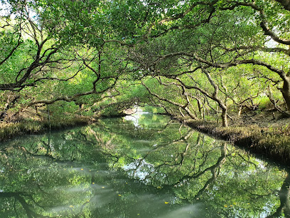 四草綠色隧道